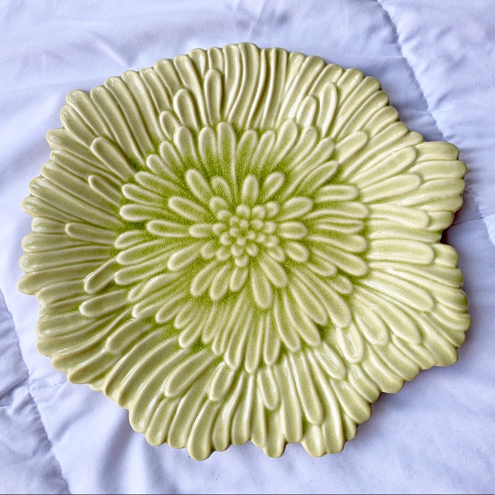 Glass Plant Plates - Picture 5 of 7